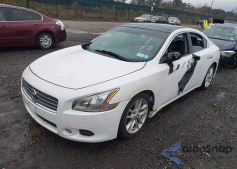 2009 Nissan Maxima 3.5 Sv z USA, uszkodzony, nr VIN 1N4AA51E79C849651